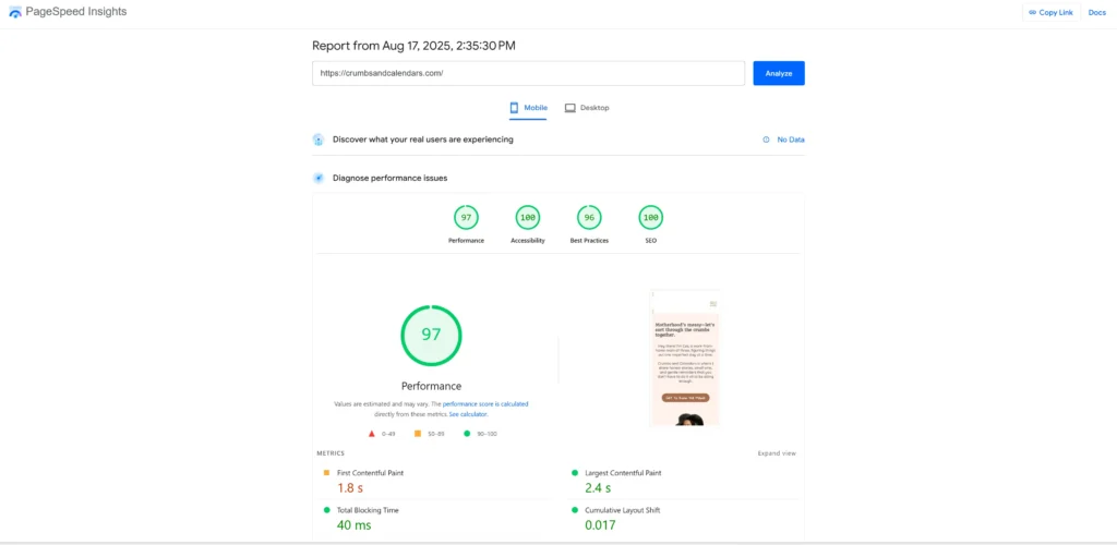 Crumbs and Calendars PageSpeed Insights report showing 97 performance score on mobile